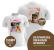 Camisa Branca Adulta Personalizada